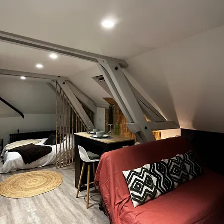 Le Chalet Chic, Cosy Avec Sauna Au Centre Ville Troyes Exterior photo