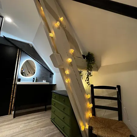 Le Chalet Chic, Cosy Avec Sauna Au Centre Ville Troyes Exterior photo
